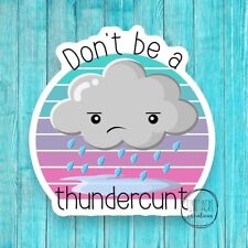 Funny Waterproof Sticker | Don’t Be A Thundercunt | Sarcastic Weatherproof Vinyl