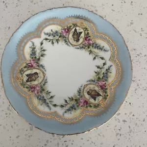 SELTENER ROSENTHAL AQUA PORZELLAN HANDBEMALT FLORAL und SCHMETTERLING 8" TELLER - Bild 1 von 7