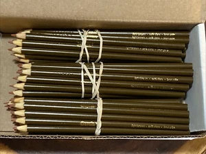 (60) Crayola Buntstifte (hellbraun) GROSSPACKUNG - Bild 1 von 1