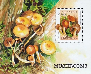Somalia - 1998 - Funghi - BF nuovo (MNH) - Picture 1 of 1