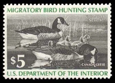 RW43 — 1976 Canada goose, XF-Superb 95 NH, PSE Certificate - Image 1 of 2