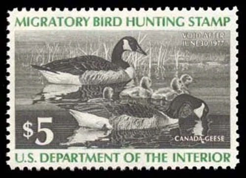 RW43 — 1976 Canada goose, XF-Superb 95 NH, PSE Certificate - Image 1 of 2