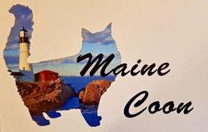 Maine Coon - Impresión de arte de pared de gatos de alto brillo 11 pulgadas x 17 pulgadas - Imagen 1 de 1