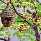 Hngendes Kolibri Vogelhaus, handgewebtes Vogelhaus aus Gartennesthaus Lot Z6