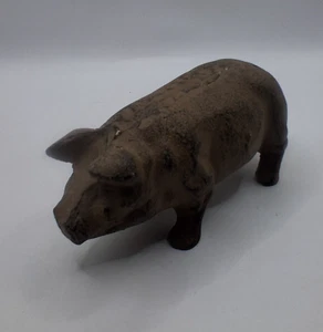 Cerdo de hierro fundido - Imagen 1 de 7