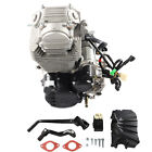 250cc Zongshen Engine Dirt Bike Motor w/ Manual Transmission Electric/Kick Start