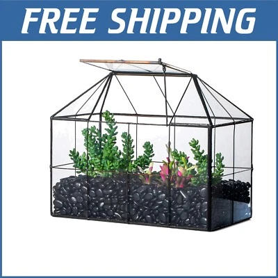 Stylish Indoor Plant House - Black Glass Terrarium with Moisture Control Lid - Image 1 of 4