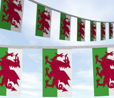 PROUD TO BE WELSH CELEBRATION BUNTING Welsh Flag PVC Bunting 10 metres 20 flags - Image 1 of 2