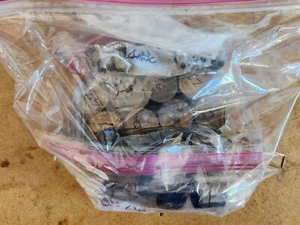 OEM BMW E46 325i 2.5L M54 Hydraulic Lifters Full Set - Picture 1 of 1