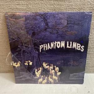 Phantom Limbs RARE Blue Color Vinyl Record LP Punk Rock Band Kenny Gildar NEW - Imagen 1 de 7