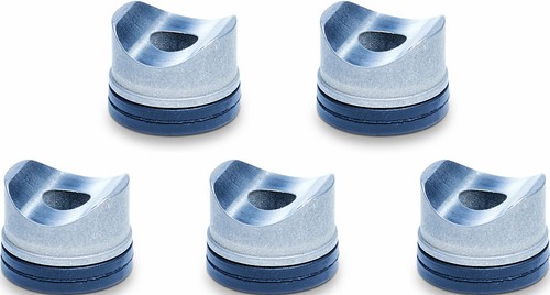 Joint RAC Graco Pour Buse à Peinture Aqueuse - Pack De 5 Pièces Neuf