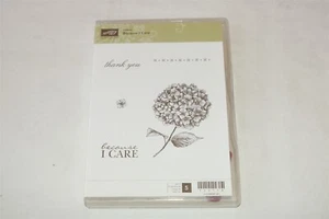 BECAUSE I CARE - Hostess - Hydrangea STAMPIN' UP RUBBER STAMP SET 120118 - Picture 1 of 1