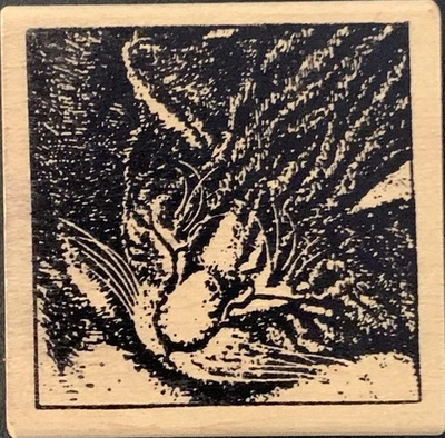 Sello de goma magenta para dormir gatito gato a rayas Foto 1 de 3