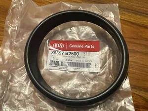 NUEVO GENUINO Kia Soul 17-19 Trasera Izquierda Recorrido Borde 86657B2500 2E6 - Imagen 1 de 4