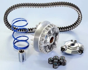 Kit Variateur Polini HI SPEED ÉVOLUTION Pour Piaggio GTS 300 Super Sport - Photo 1/1