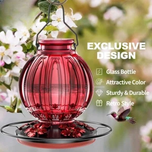 Glass Hummingbird Feeder for Outdoors Hanging, 26Oz Bird Nectar - Picture 1 of 14