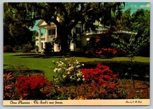 Orton Plantation and Gardens, Vintage Post Card - Picture 1 of 2