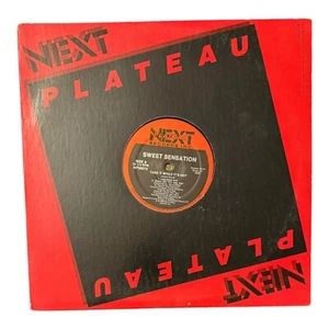 Sweet Sensation Take It While It’s Hot 12″ 1988 NP 50072 Vinyl Record - Foto 1 di 6