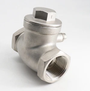 2" Inch Stainless Steel 316 Swing Check Valve Female to Female NPT - Picture 1 of 2