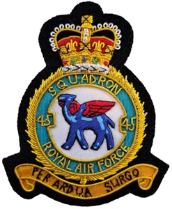 No. Insignia de parche 45 Squadron Royal Air Force CABLEADO DORADO - LICENCIA MOD - Imagen 1 de 5