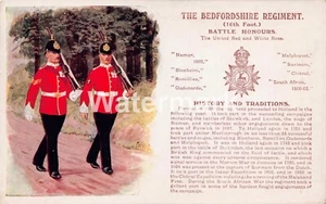 1347. History & Traditions. The Bedfordshire Regimeent. Early Edition. Undivided - Picture 1 of 2