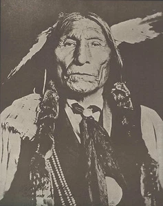 "Vestido de lobo CHEYENNE CHEIEF de la India Occidental Estampado con foto 799 11"" x 14" - Imagen 1 de 1