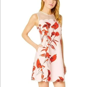 Ted Baker Pink Red Sheer Midi Dress 3 Jaazmin Fantasia Scallop Mini Dress Cute - Picture 1 of 15
