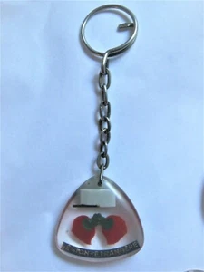 FOREIGN LEGION BI FACE KEY DOOR EXCELLENT CONDITION - Picture 1 of 2