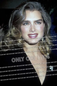 Beautiful Actress BROOKE SHIELDS (PHOTO) 010 - Picture 1 of 1