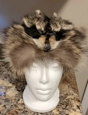 Nuevo Sombrero Forrado de Piel de Mapache Genuino Real Unisex M-L con Cara y Cola ~ Cálido Foto 1 de 4