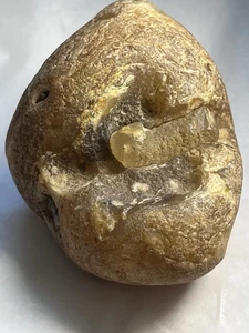 Raw Orca Agate, Chalcedony. 11.6 Ounces - Picture 1 of 13