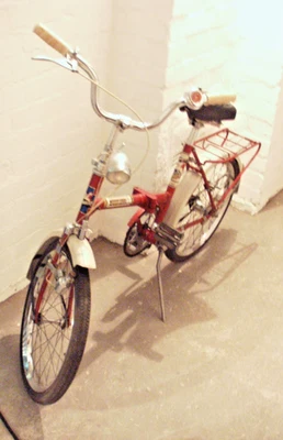 Fahrrad Grandezza Faltfahrrad Klappfahrrad Kinderfahrrad - Bild 1 von 4