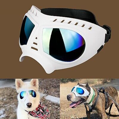 Large Dog Goggles / Sunglasses, Adjustable Straps, Wind & Dust Proof • 20.25€