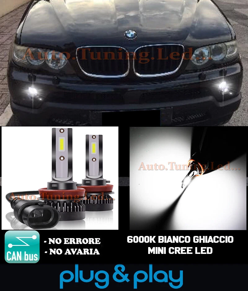 BMW X5 E53 RESTYLING LAMPADE FENDINEBBIA H11 LED CAMBUS BIANCO GHIACCIO 8000LM - Immagine 1 di 4