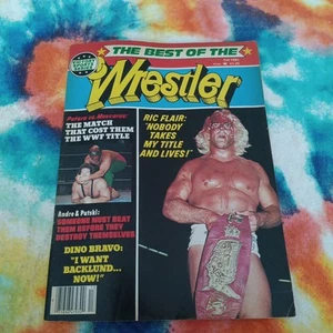 The Wrestler Magazine Pro Wrestling Illustrated Fall 1981 Ric Flair Blood Title - Picture 1 of 24