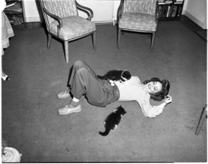 Janet Blair Spielkarten Mit Kätzchen Vintage 1940's Original 4x5 Kamera Negative