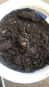 Bokashi Schwarzerde Tera Preta 10 Liter organischer Garten-Langzeitdünger mit EM - Bild 1 von 22