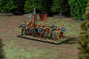Espada y Escudo Infantería x20 - Ejército de los Zhu Lin - Imagen 1 de 21