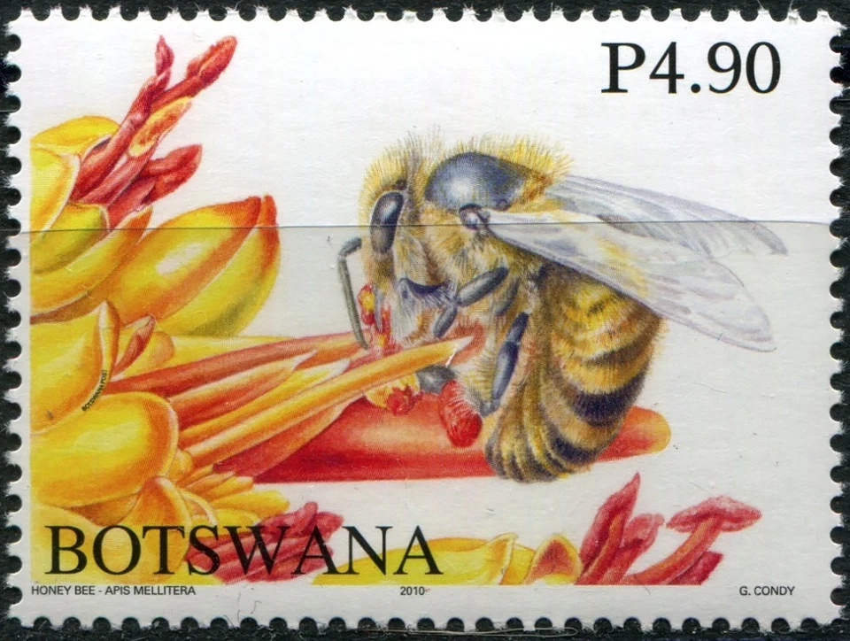 Botswana 2010. Honey Bees of Botswana (III) (MNH OG **) Stamp - Image 1 of 1