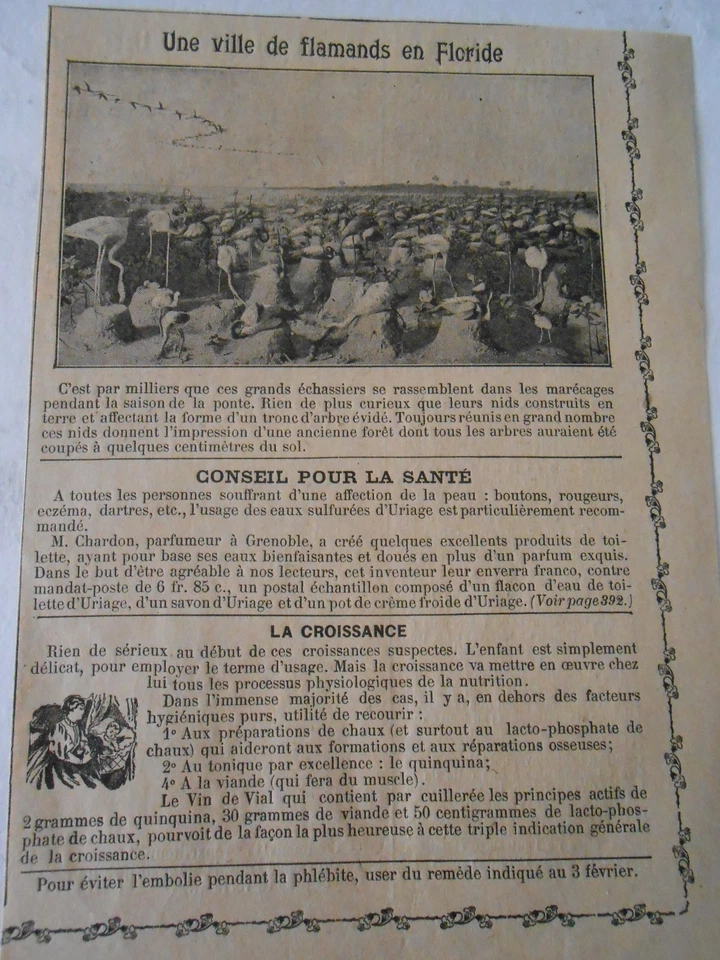 Une Ville de Flamands en Floride Image Print 1909 - Photo 1/1