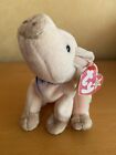 Vintage TY Beanie Baby 1999 - Knuckles The Pig With Tag 