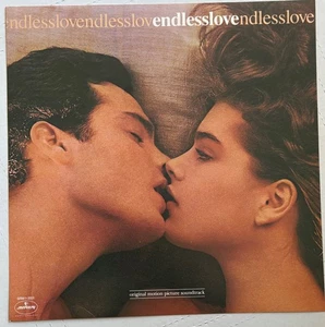 Película de amor sin fin 12" x 12" álbum arte PÓSTER PROMOCIONAL PLANO (+ Disponible enmarcado) - Imagen 1 de 2