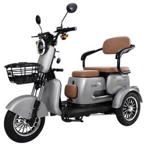 Freejoyer FV6 Elektro-Dreirad 1000W Motor 60V 20Ah 25km/h Straßenzulassung EEC - Bild 1 von 9