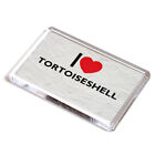 FRIDGE MAGNET - I Love Tortoiseshell - Novelty Gift