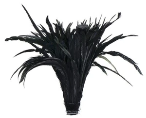 50 pz CUSTODIA GALLO PIUME 12-16 POLLICI NERO IRIDESCENTE (costume/Halloween) - Foto 1 di 10