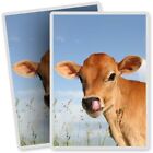 2 x Vinyl Stickers 7x10cm - Jersey Cow Calf Cattle Farm  #15585