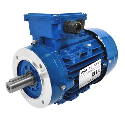 Moteur électrique Triphasé 230/triphasé 400v 1,1 Kw 3000 Tr/min  - Ms8022b14 Bri - Photo 1/3