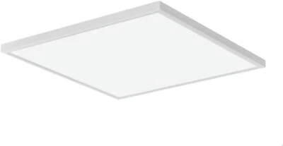 Lithonia Lighting 2 Ft. x 2 Ft. LED Flat Panel Ceiling Light Fixture, White