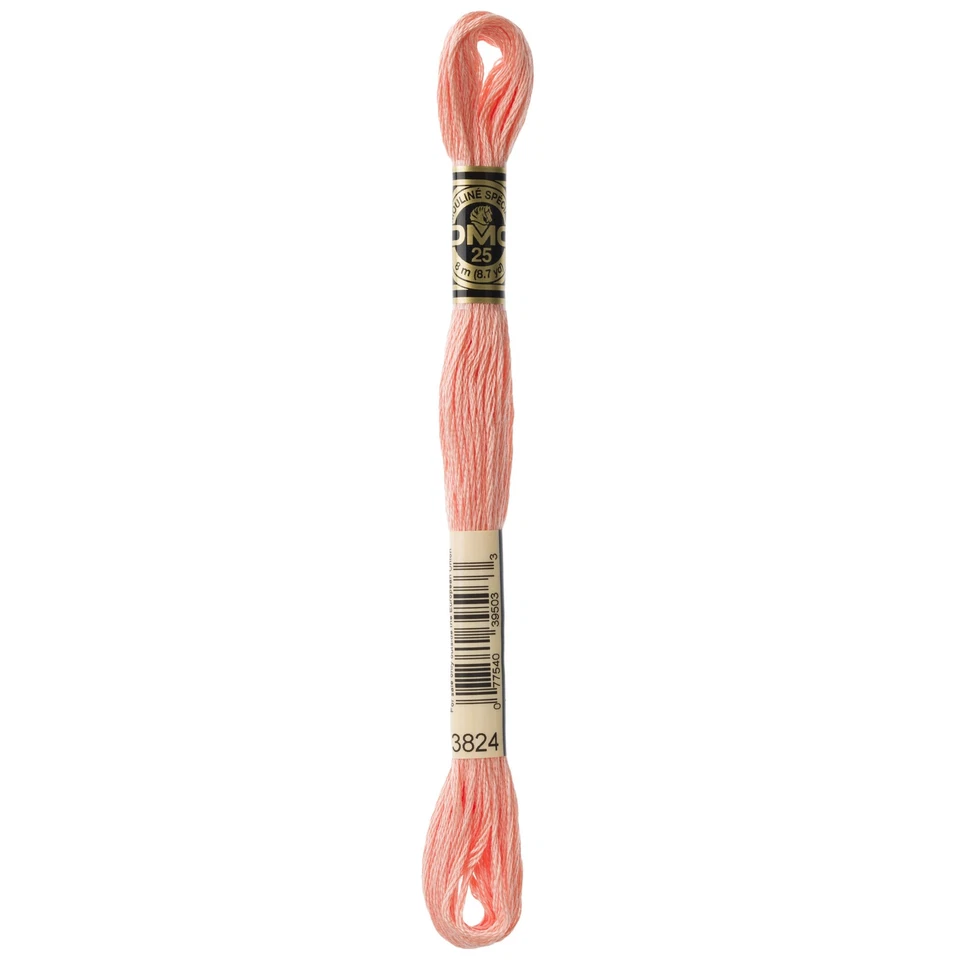 DMC 6-Strand Embroidery Cotton 8.7yd-Light Apricot - 12 Pack - Image 1 of 1