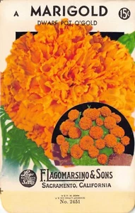 Vintage Seed Packet: MARIGOLD, Lagomarsino & Sons, Sacramento, 1940's - Picture 1 of 2